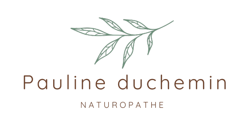 Pauline Duchemin Pauline Duchemin